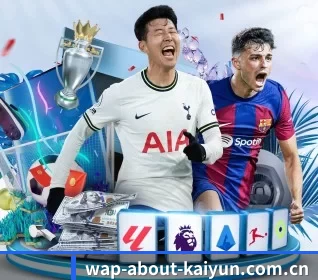 开云平台 APP 界面